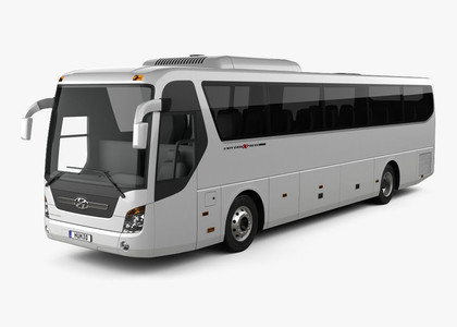 EVA коврики на Hyundai Universe Space Luxury  в Владивостоке