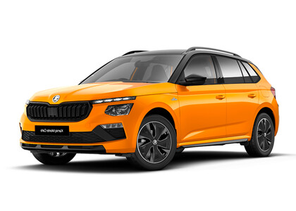 Ворсовые коврики на Skoda Kamiq 2019&nbsp;-&nbsp;2026 в Владивостоке
