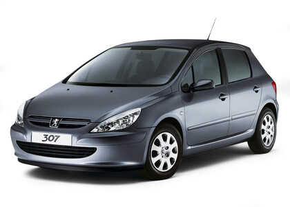 EVA коврики на Peugeot 307 2001 - 2008 в Владивостоке