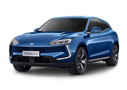 EVA коврики на Seres SF5 2019&nbsp;-&nbsp;2022 в Владивостоке