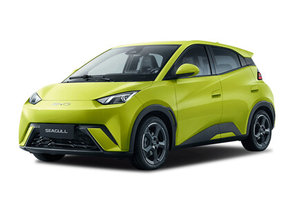 Коврики на BYD Seagull 1 2023&nbsp;-&nbsp;2026 в Владивостоке