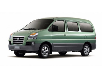 Ворсовые коврики на Hyundai H1 I 1996 - 2007 в Владивостоке